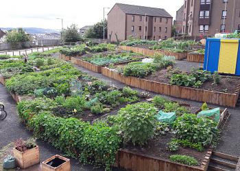 Food growing space