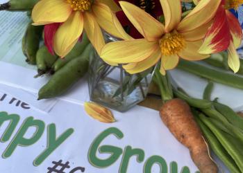 Image of flower and carrots