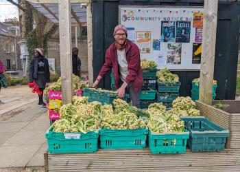 Gleaning