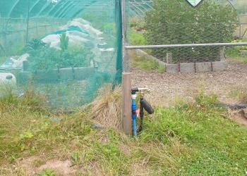 Bore-hole