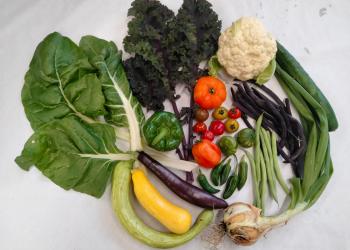 Selection of veggies