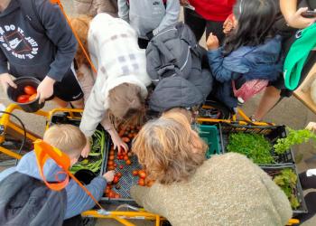 People collecting vegetables
