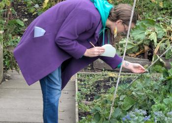 Person inspecting plant