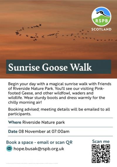 poster goose walk