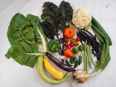 Selection of veggies