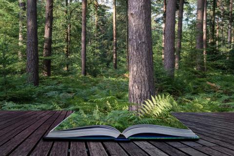 An open book with plants growing out of it