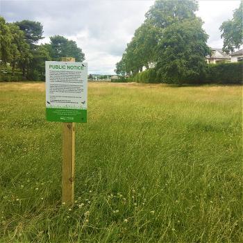 Biodiversity grassland area in the east end of Dundee with public notice.