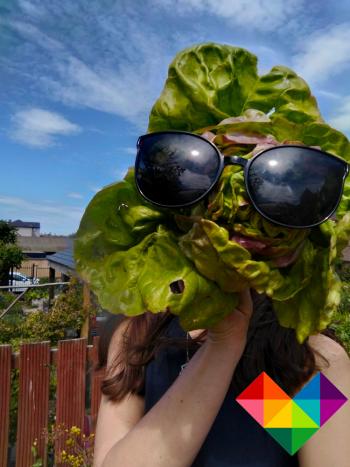 Person holding a cabbage wearing sunglasses over their face